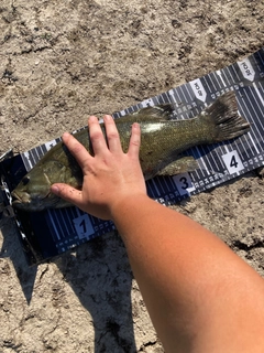 スモールマウスバスの釣果