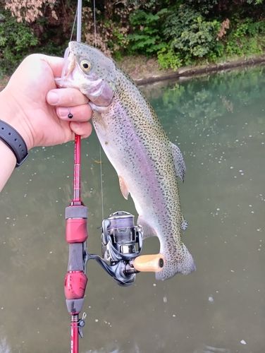 釣果