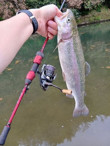 釣果
