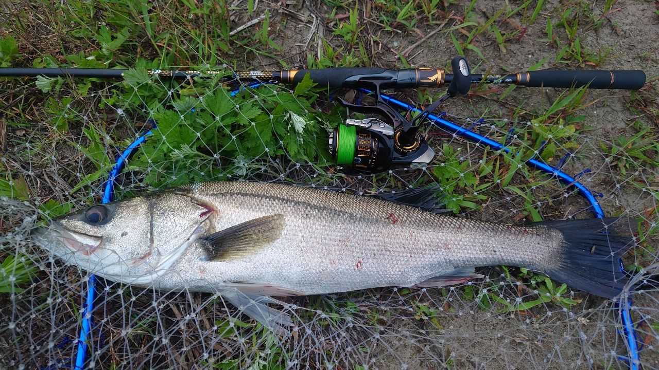 DAIWA 21モアザン ブランジーノ EX AGS 94MLの最安値・インプレ・釣果