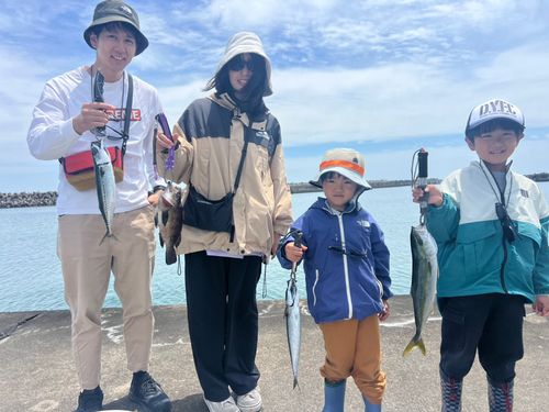 ヒラマサの釣果