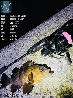 アカメバルの釣果