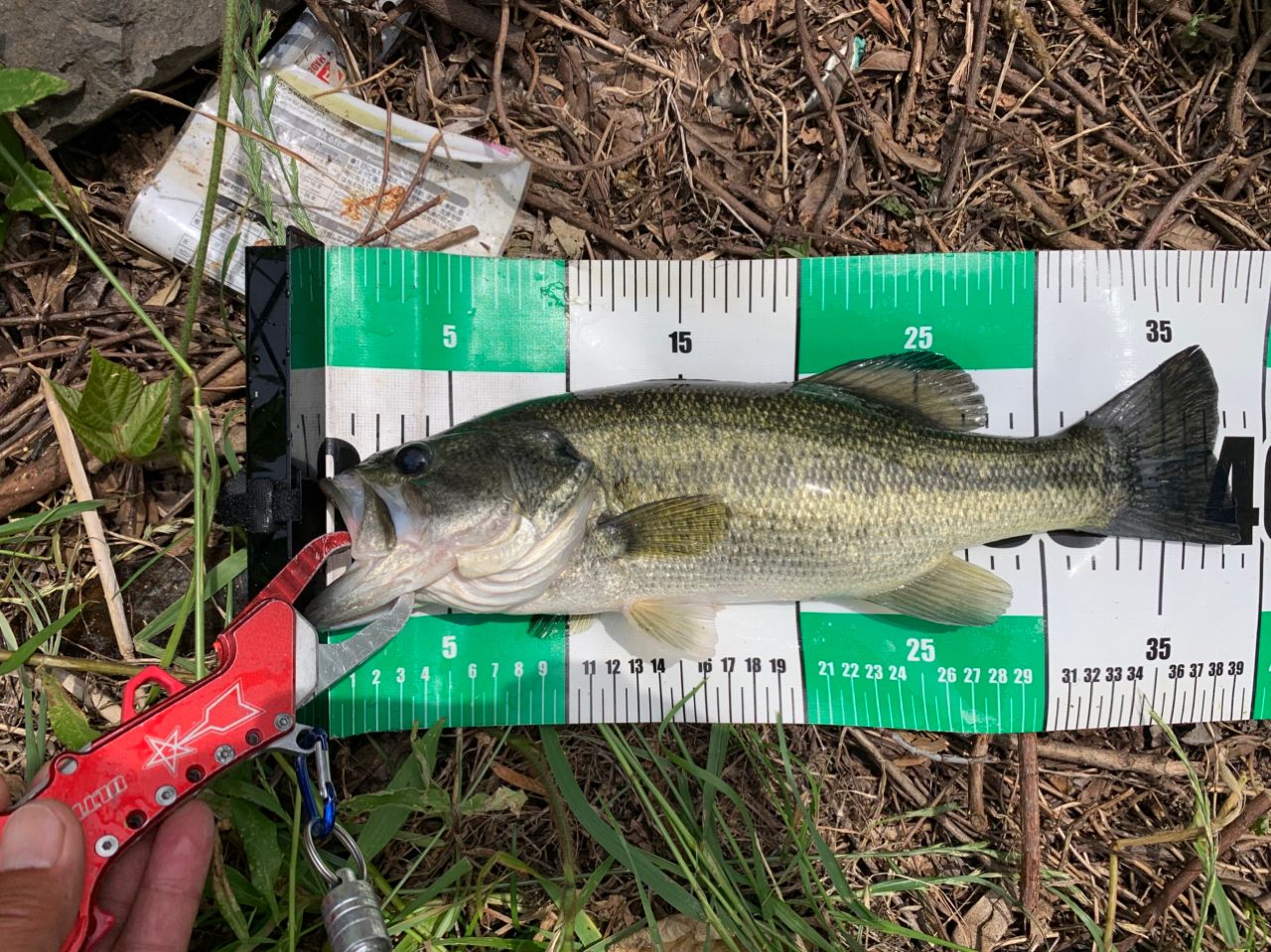 DAIWA 18ハートランド 671LFS-18の最安値・インプレ・釣果 | 本音の