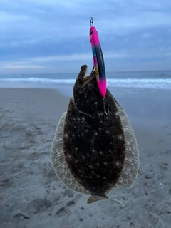 ソゲの釣果