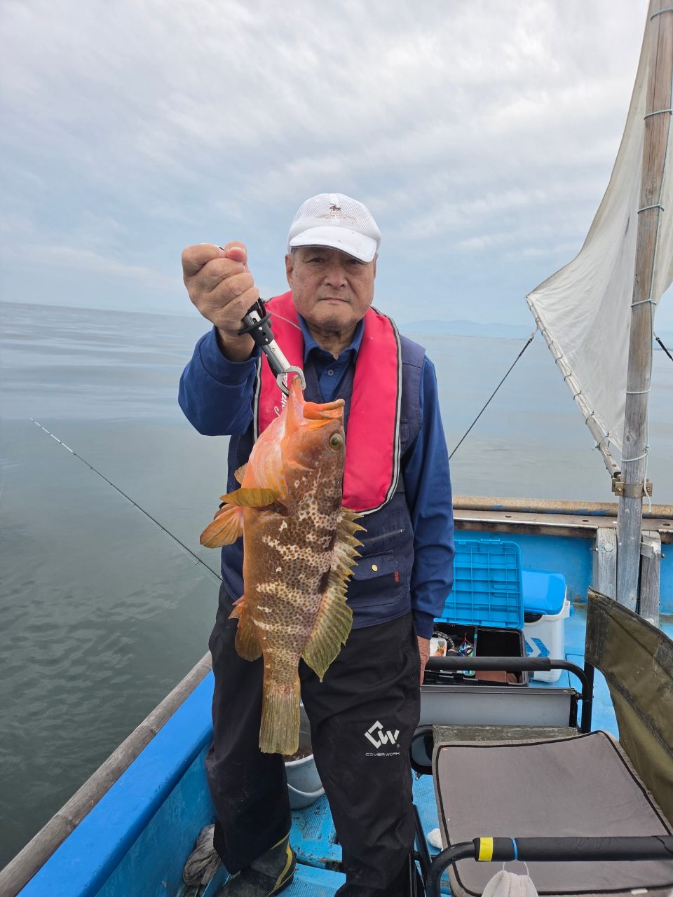アングラー1677548灰干しワカメ さんの 2026年05月31日のアコウの釣り
