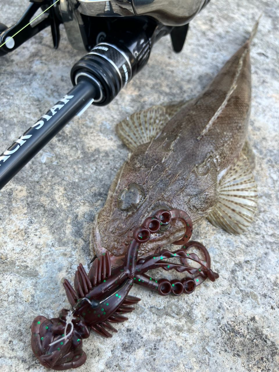 SHIMANO 21アンタレス DC XG RIGHTの最安値・インプレ・釣果 | 本音の