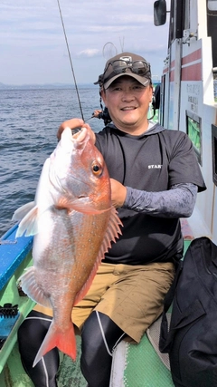 マダイの釣果