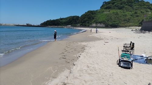 シロギスの釣果