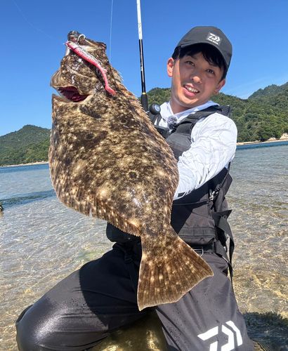 ヒラメの釣果