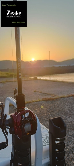 アコウの釣果