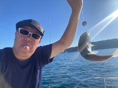 フグの釣果