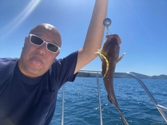 オオモンハタの釣果