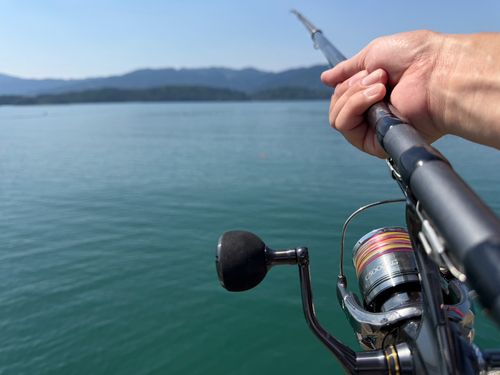 チャリコの釣果