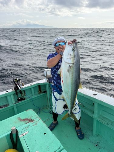 ヒラマサの釣果