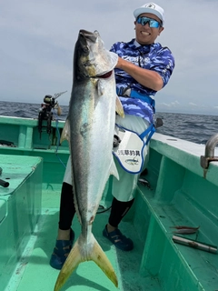 ヒラマサの釣果