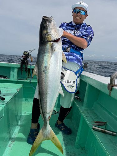ヒラマサの釣果