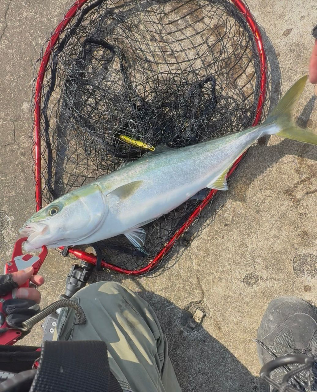 DAIWA 21HRF® (ハードロックフィッシュ) エア 90M/MH・Nの最安値