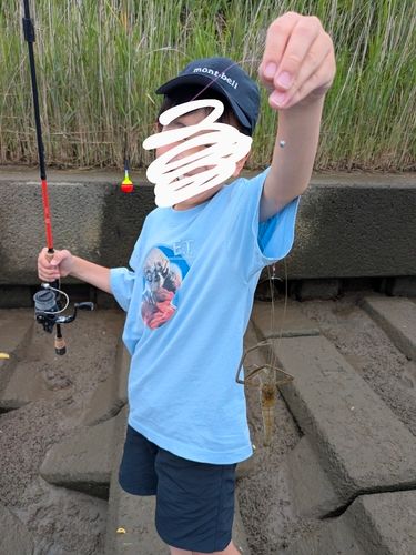 立田大橋の釣果・釣り場情報【2026年最新】 - アングラーズ | 釣果600
