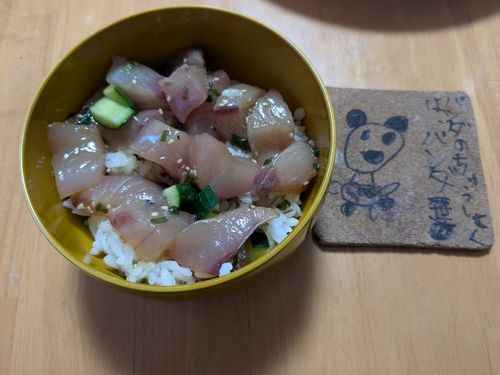 イナダの釣果
