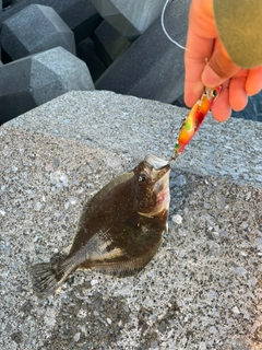 ソウハチの釣果