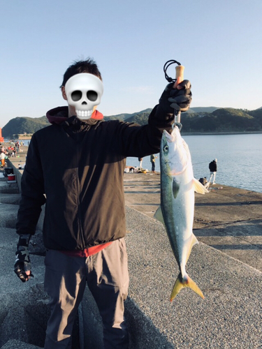 メジロの釣果