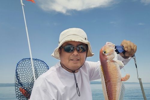 アマダイの釣果