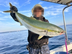 ブリの釣果
