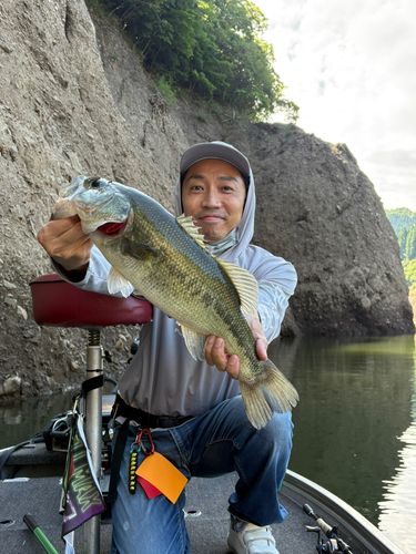 ブラックバスの釣果