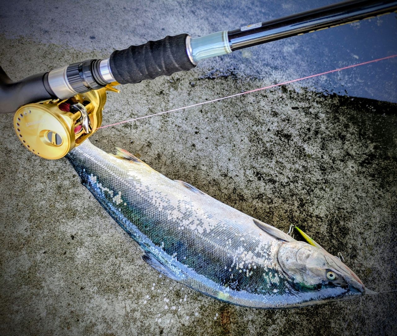 SHIMANO 21カルカッタコンクエスト 200HG RIGHTの最安値・インプレ