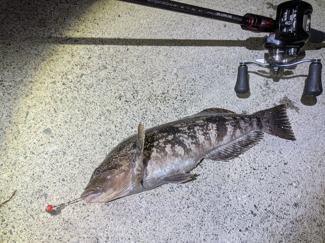 DAIWA 21HRF® (ハードロックフィッシュ) エア 610ML/MB・Nの最安値