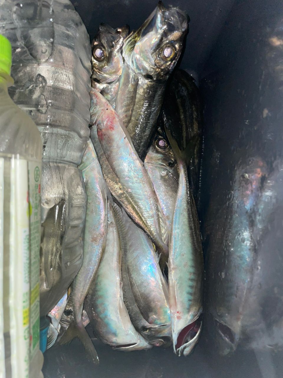 YAMAGA Blanks ブルーカレント Bait 71 (Overhead) modelの最安値