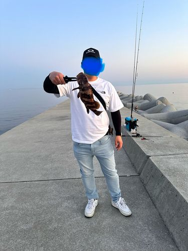 アコウの釣果