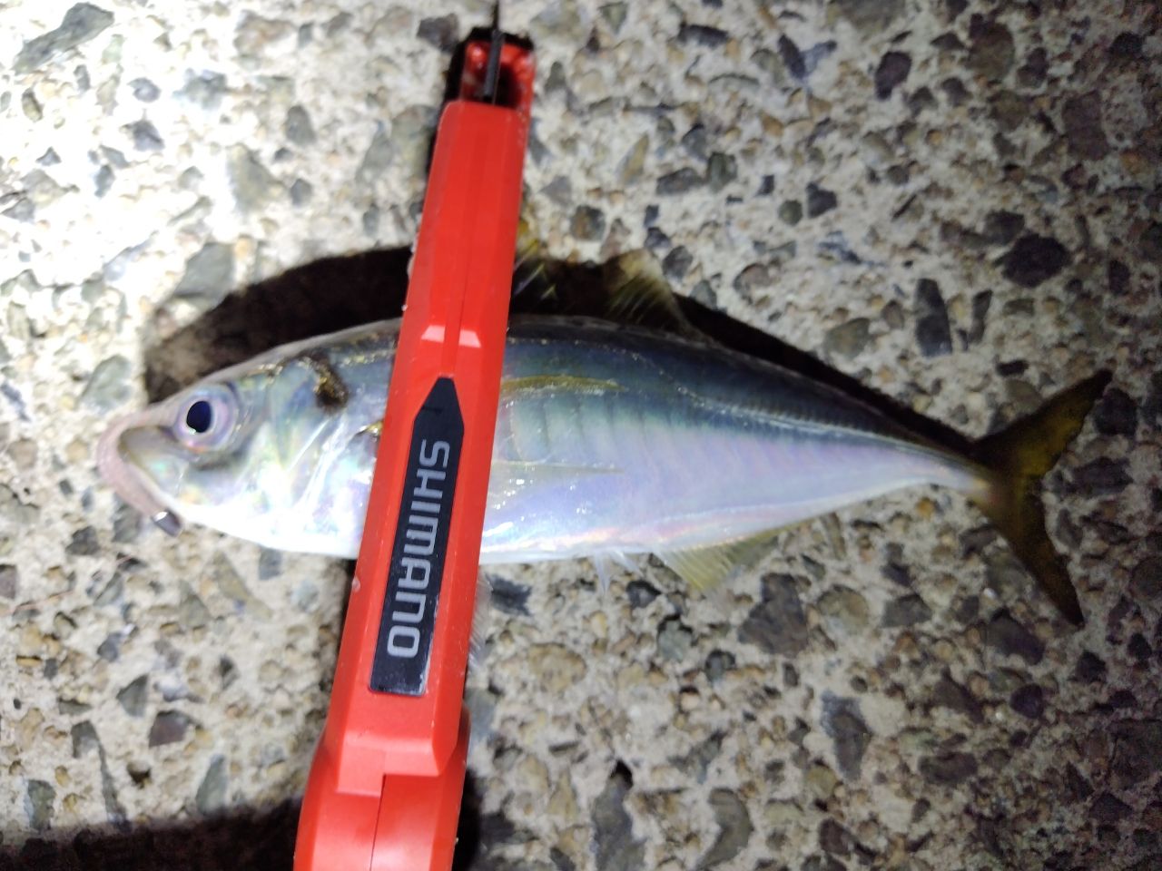 SHIMANO 22ソアレ SS アジング S48SUL-Sの最安値・インプレ・釣果