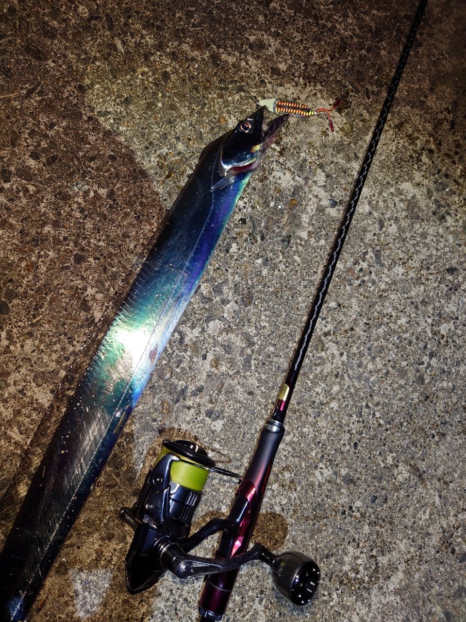 SHIMANO 19セフィア リミテッド S85MLの最安値・インプレ・釣果 | 本音