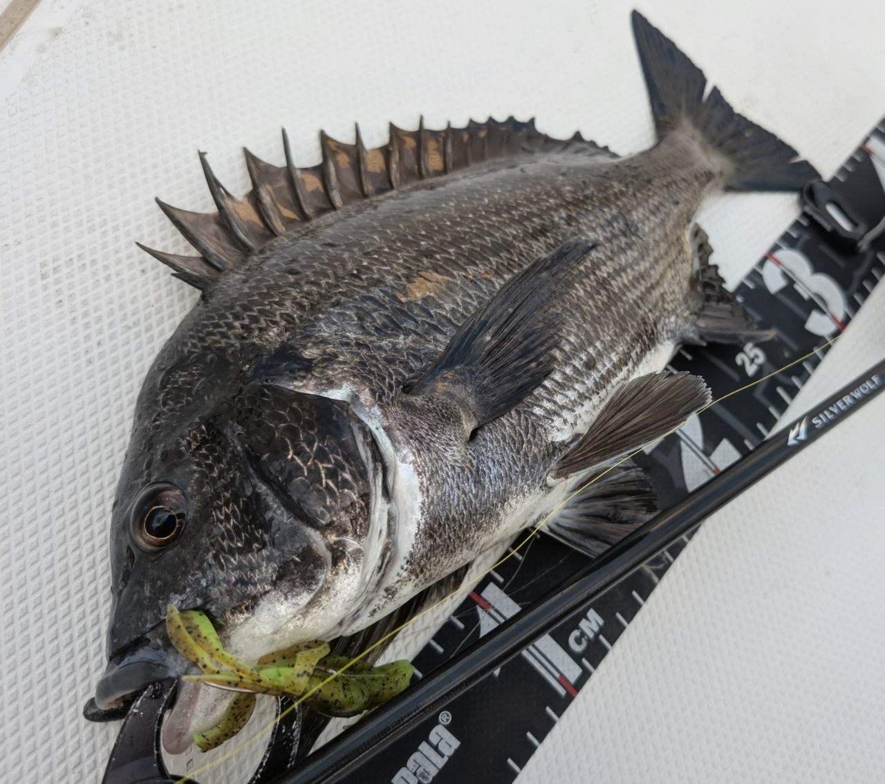 DAIWA 22シルバーウルフ SV TW PE スペシャル 1000XHの最安値