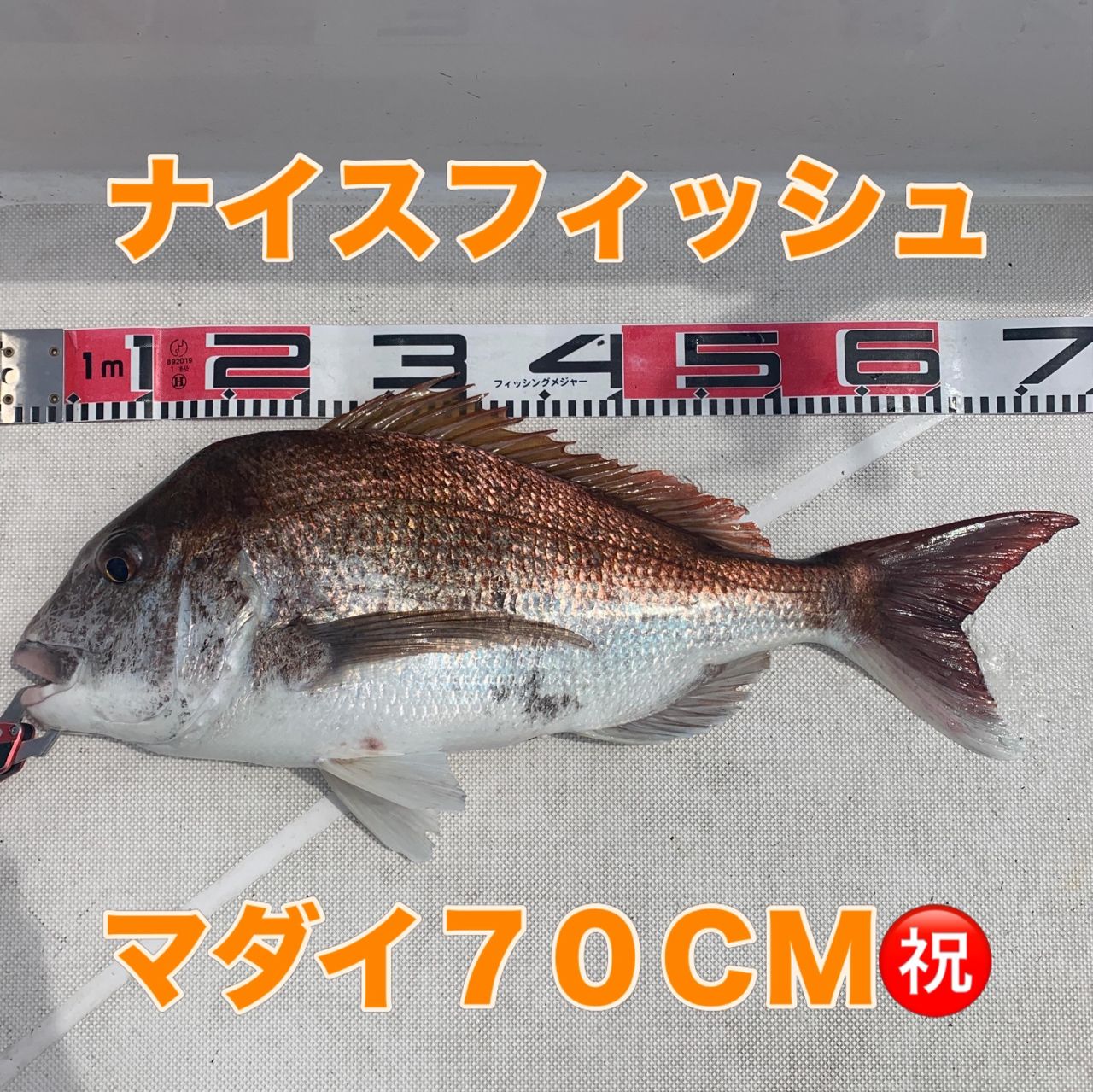DAIWA 18紅牙 IC 100PL-RMの最安値・インプレ・釣果 | 本音の口コミが