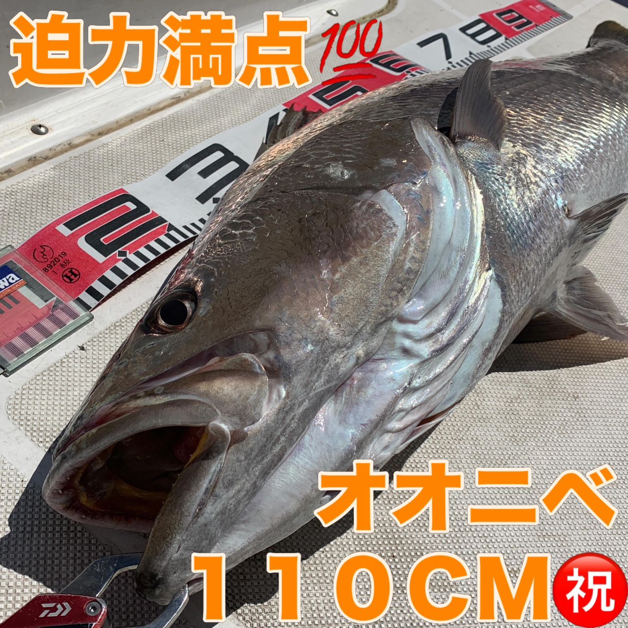 DAIWA 18紅牙 IC 100PL-RMの最安値・インプレ・釣果 | 本音の口コミが