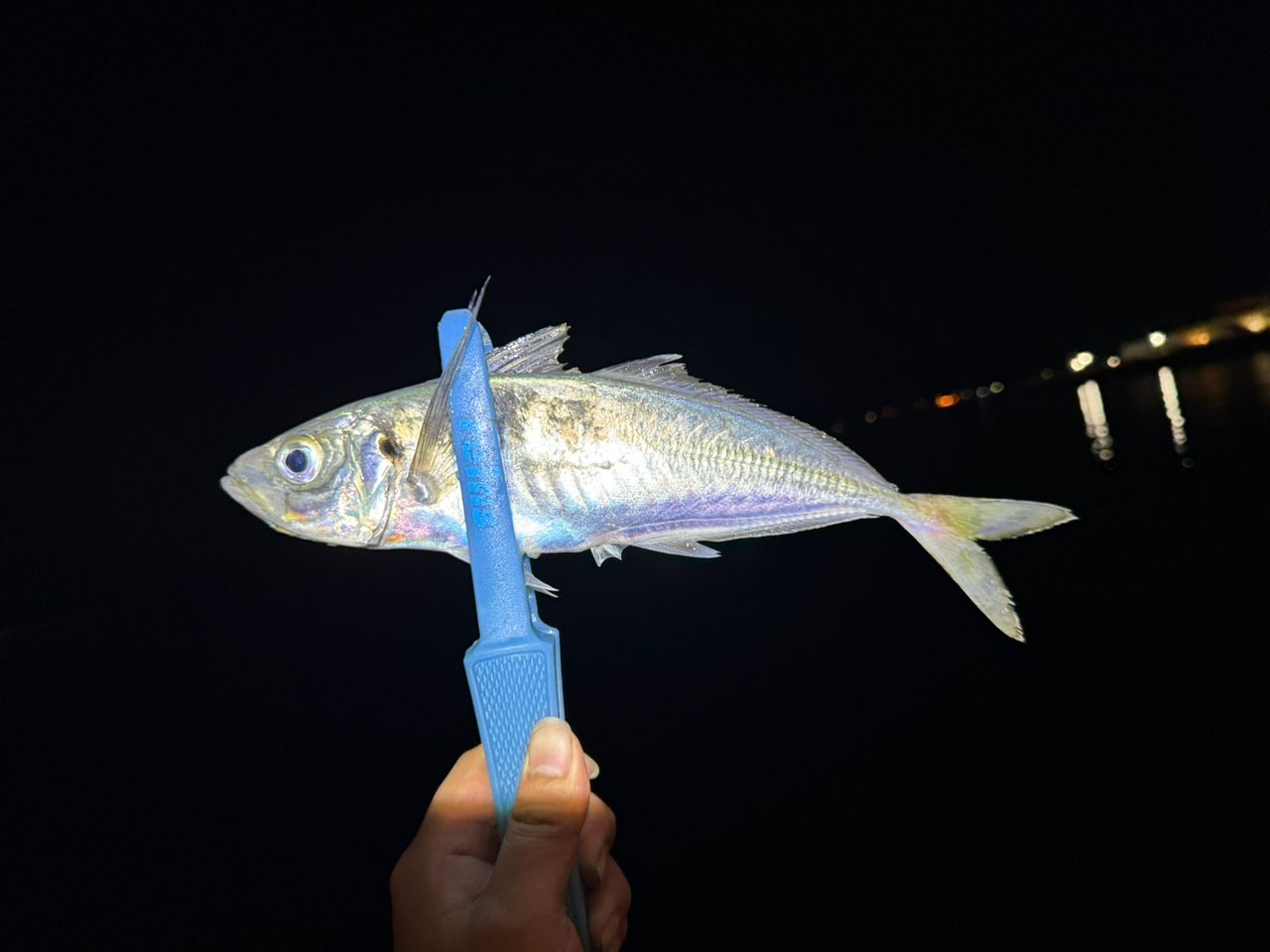 AbuGarcia ソルティスタイル カラーズの最安値・インプレ・釣果 | 本音