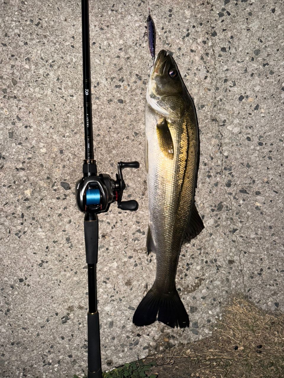 DAIWA 20ラテオ・R ベイトモデル 93MBの最安値・インプレ・釣果 | 本音