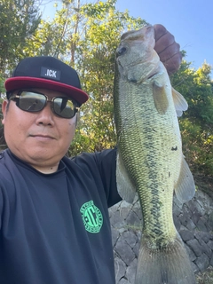 ラージマウスバスの釣果