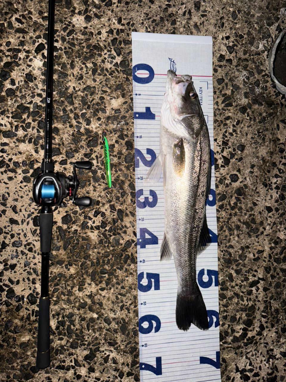 DAIWA 20ラテオ・R ベイトモデル 93MBの最安値・インプレ・釣果 | 本音