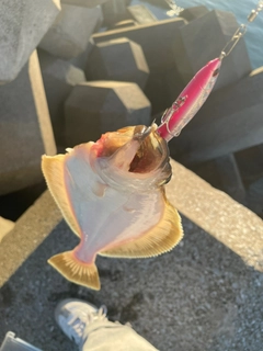 ソウハチの釣果