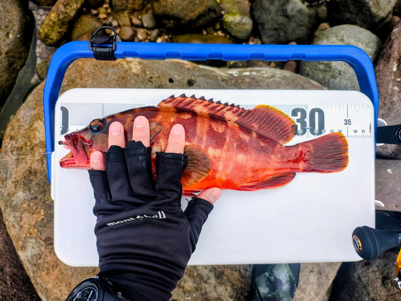 YAMAGA Blanks アーリー・フォーサーフ 105MHの最安値・インプレ・釣果