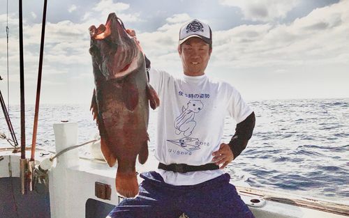マハタの釣果