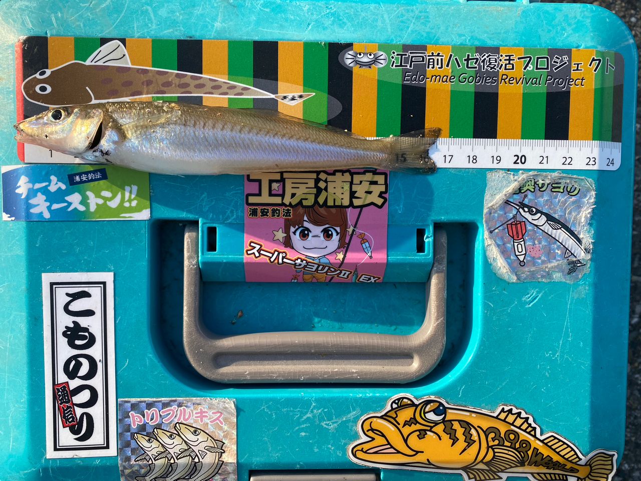 DAIWA 14リーガル 3号-53遠投の最安値・インプレ・釣果 | 本音の口コミ