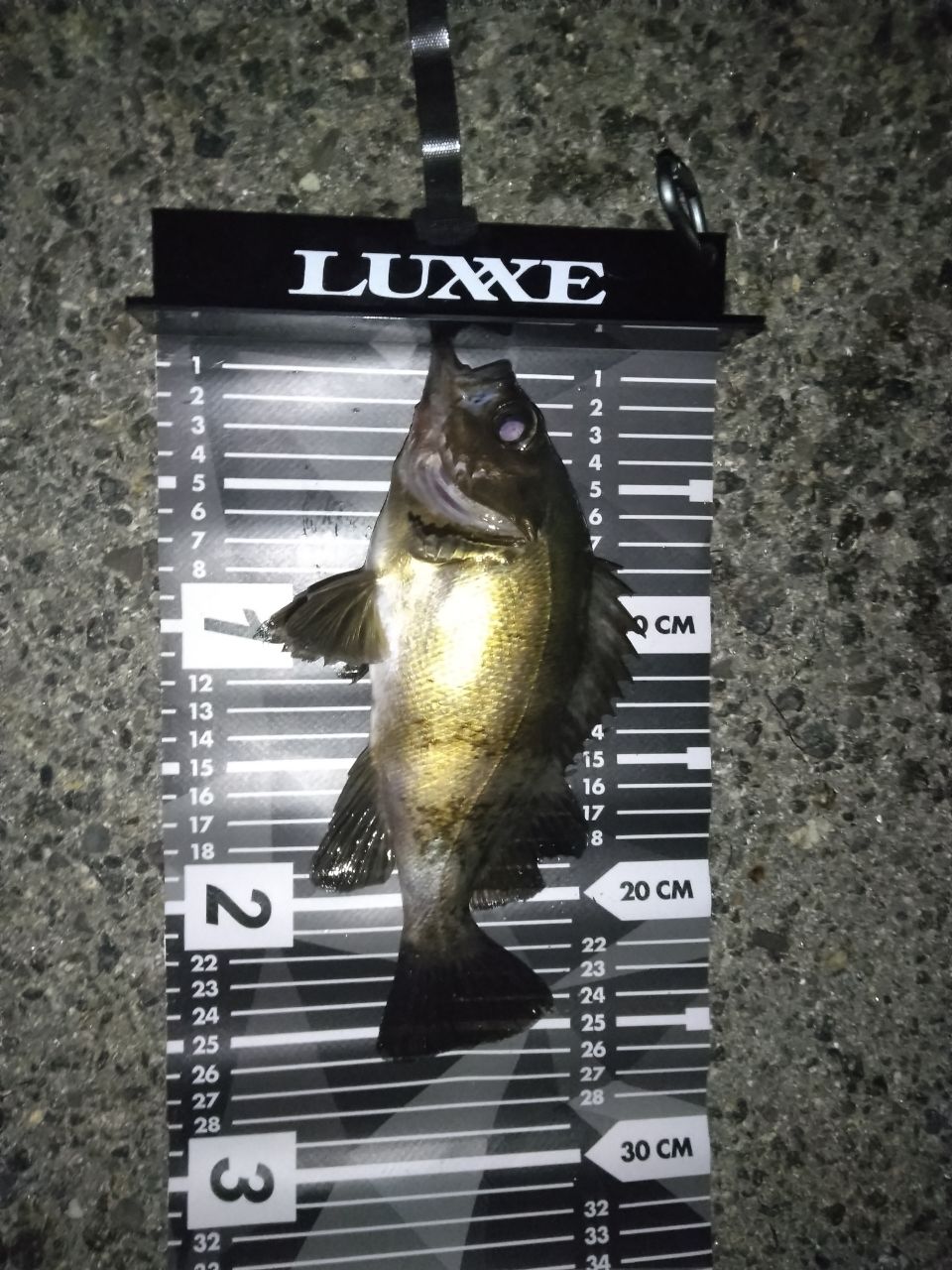 SHIMANO 22ソアレ SS S86ML-Tの最安値・インプレ・釣果 | 本音の口コミ