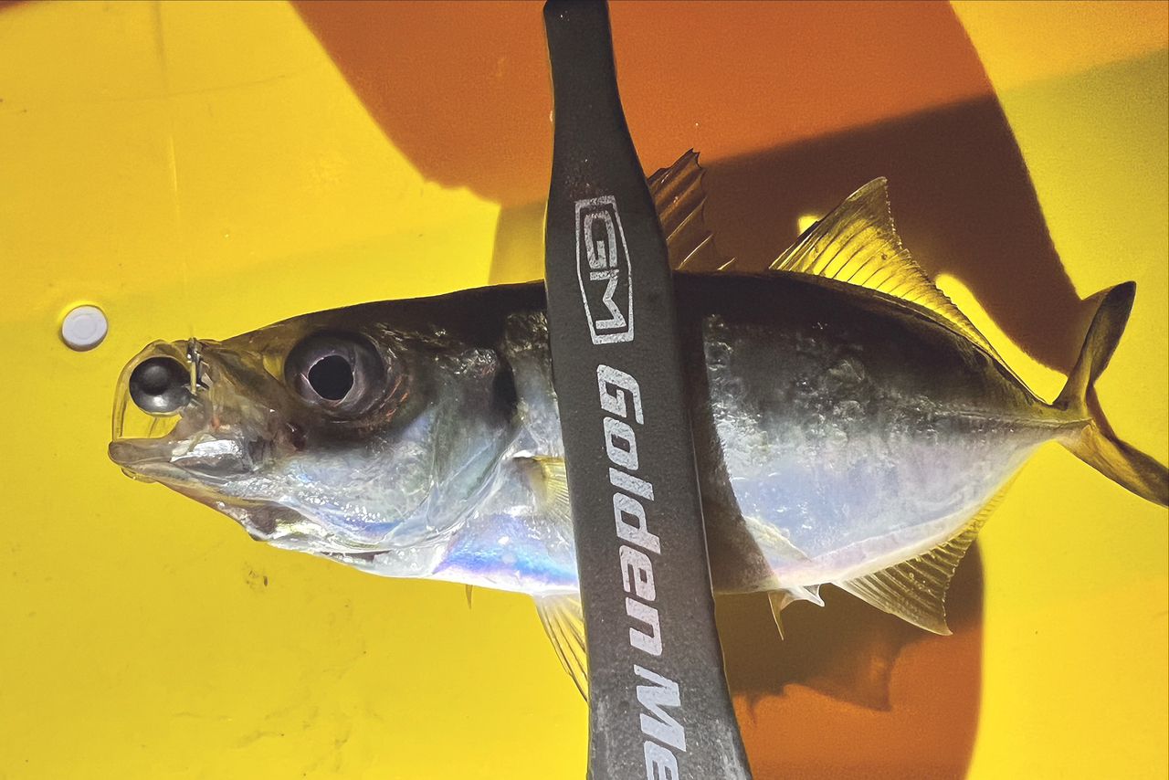 AbuGarcia エラディケーター リアルフィネス プロトタイプ ERFS-51Pro
