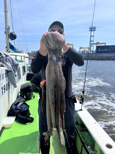 タコの釣果