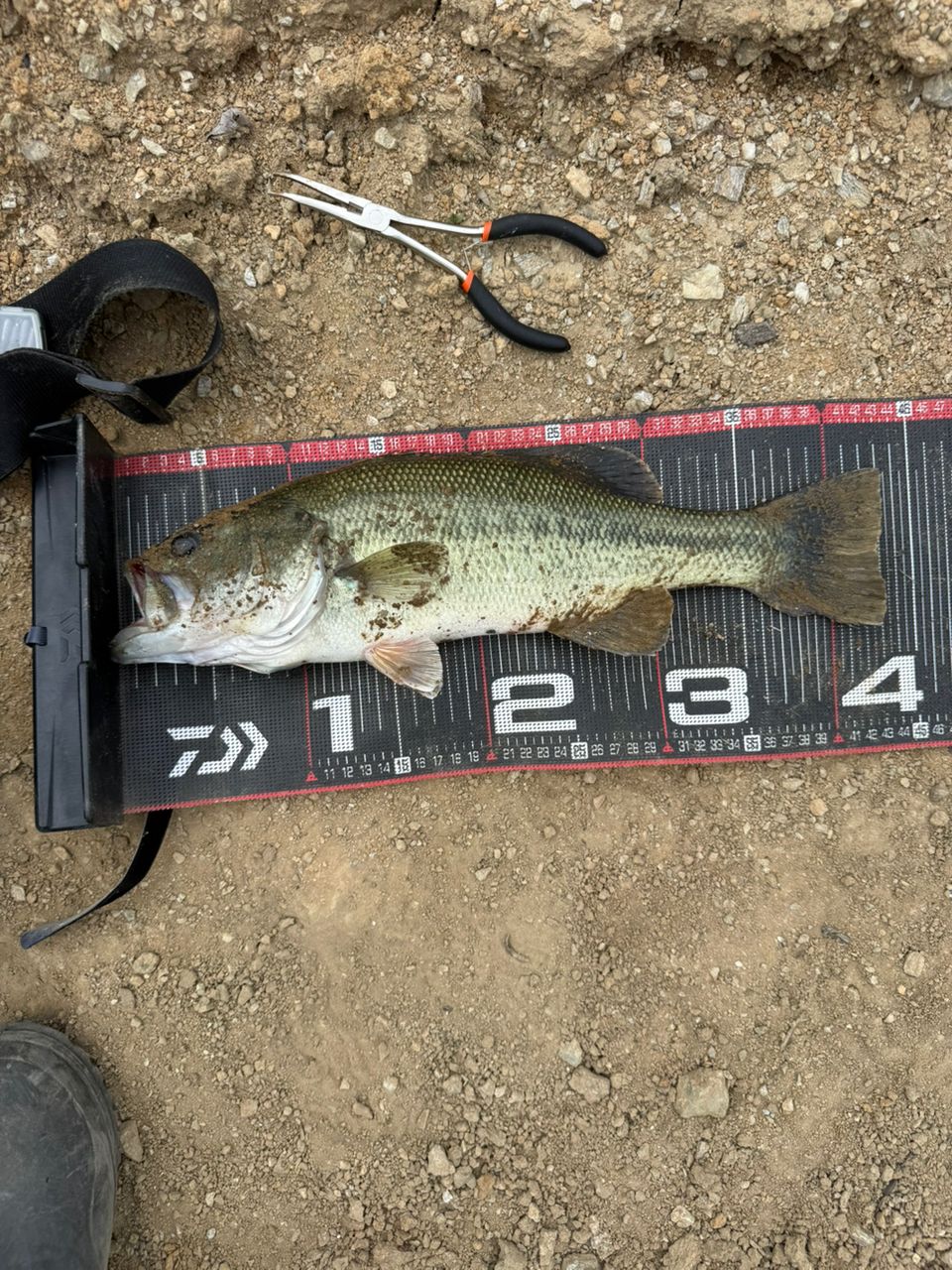 DAIWA 21ブレイゾン C69H-STの最安値・インプレ・釣果 | 本音の口コミ