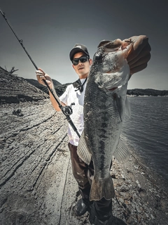 ブラックバスの釣果